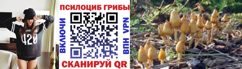 Галлюциногенные грибы GOLDEN TEACHER  купить закладку  Кызыл 