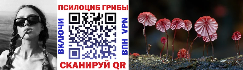Галлюциногенные грибы Cubensis Кызыл